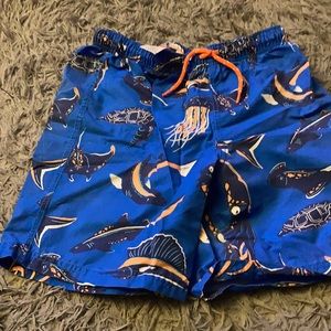 Mini Boden Boy Swim Trunks Size 11/12 Y